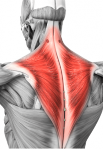 suffering from tight shoulders, neck pain or headaches?