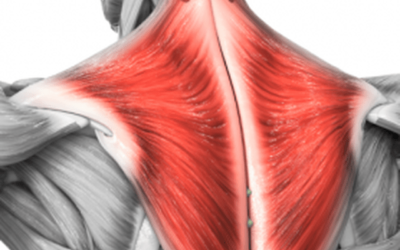 Suffering from tight shoulders, neck pain or headaches?